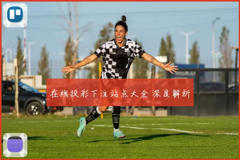 在线投彩下注站点大全 深度解析