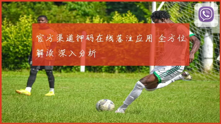 官方渠道押码在线落注应用 全方位解读 深入分析