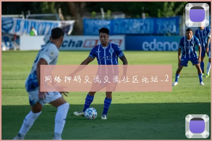 网络押码交流交流社区论坛_2