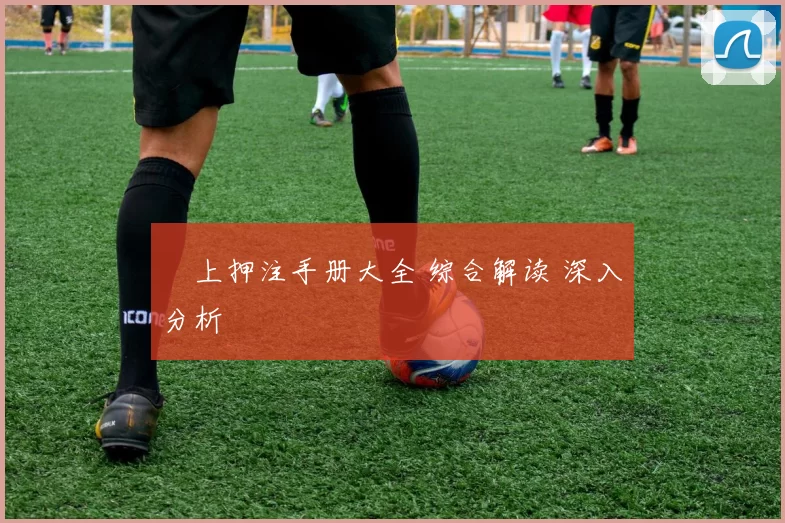 網上押注手册大全 综合解读 深入分析