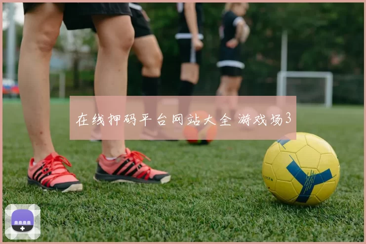 在线押码平台网站大全 游戏场3