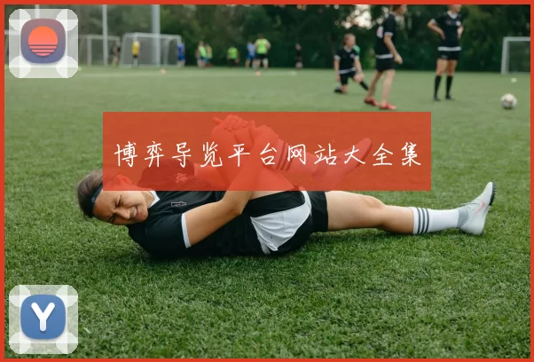 博弈导览平台网站大全集