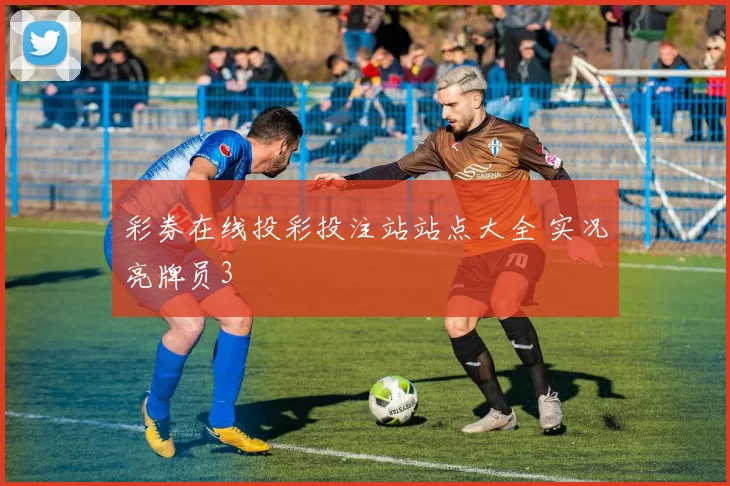 彩券在线投彩投注站站点大全 实况亮牌员3