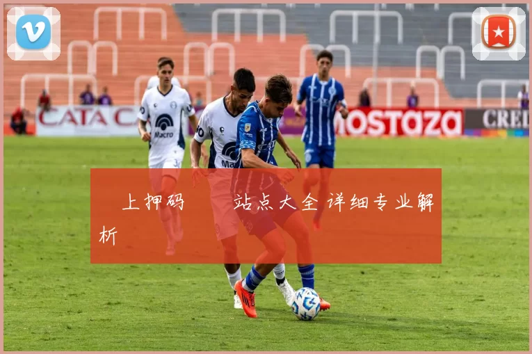 網上押码娛樂站点大全 详细专业解析