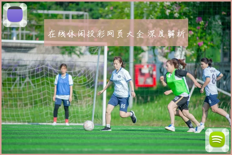 在线休闲投彩网页大全 深度解析