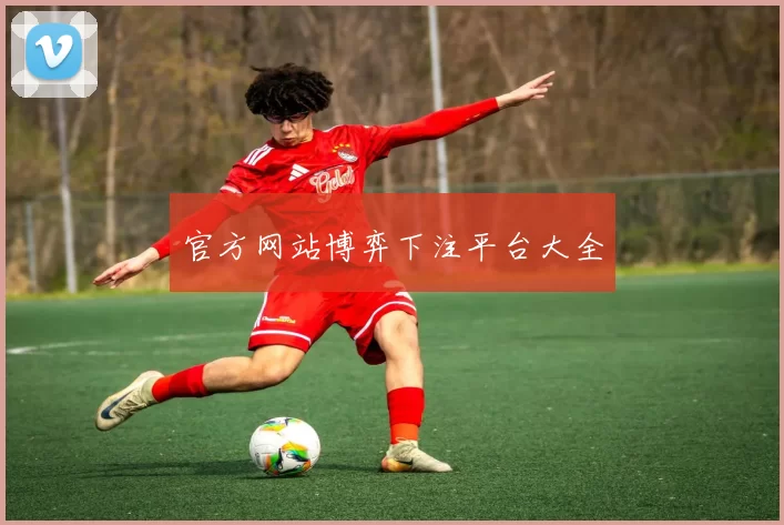 官方网站博弈下注平台大全