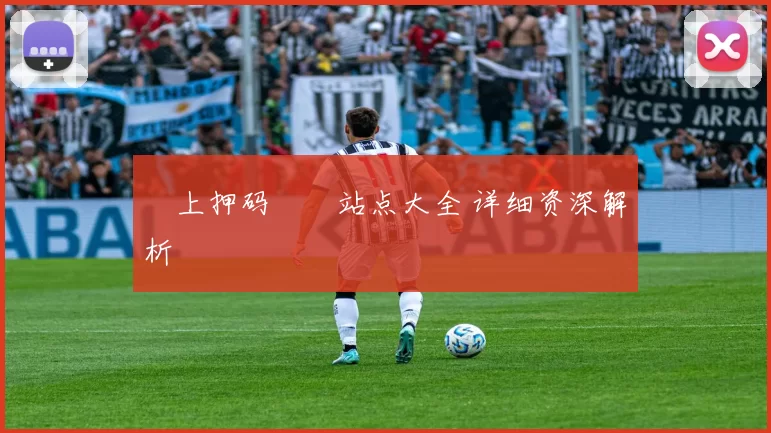 網上押码娛樂站点大全 详细资深解析