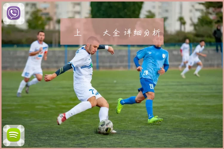 網上賭場大全 详细分析