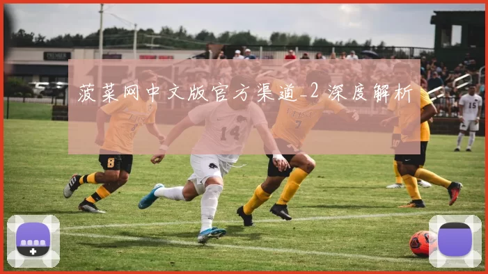 菠菜网中文版官方渠道_2 深度解析