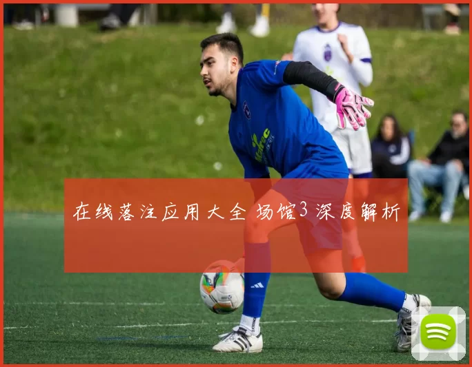 在线落注应用大全 场馆3 深度解析