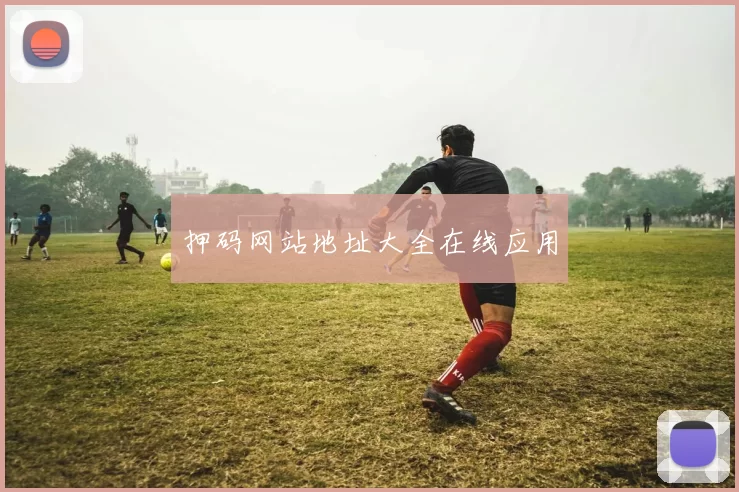 押码网站地址大全在线应用