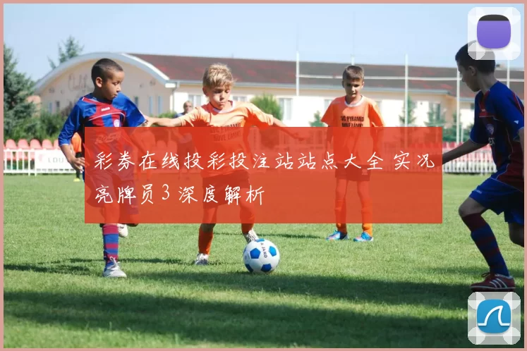 彩券在线投彩投注站站点大全 实况亮牌员3 深度解析